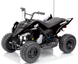 Azeno 24V T-Rex with rubber wheels, top speed 16 km/h