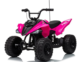 Azeno 24V T-Rex with rubber wheels, top speed 16 km/h