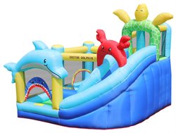 Doctor Dolphin Bouncer incl. 450W blower