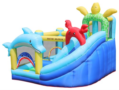 Doctor Dolphin Bouncer incl. 450W blower