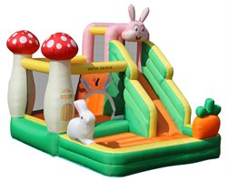 Doctor Dolphin Bouncer incl. 450W blower